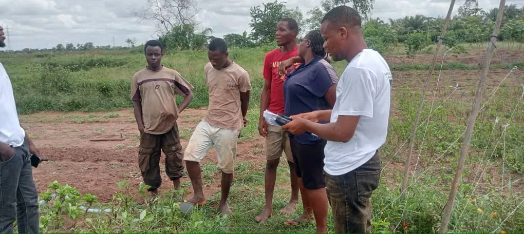 Human Layer - Local Facilitators