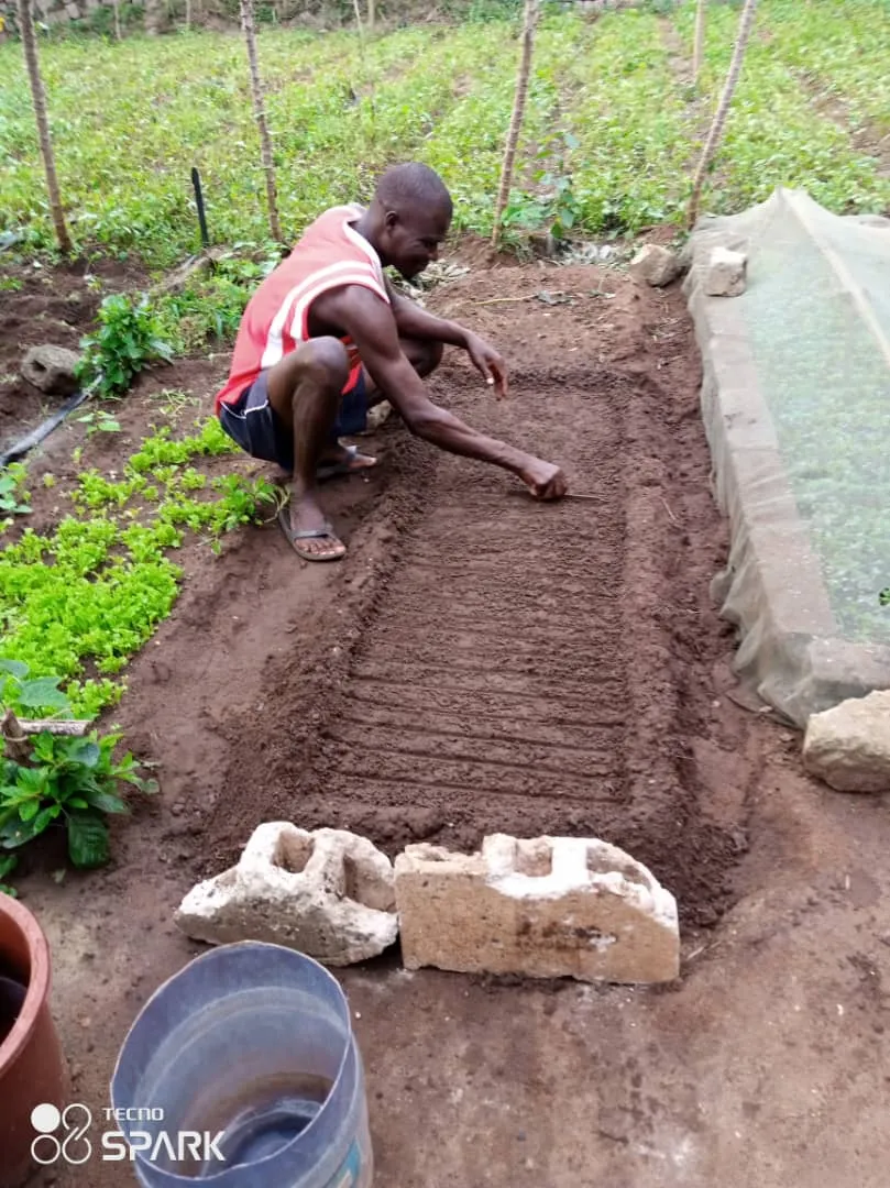 Data Layer - SoilAdvisor (IoT Sensors)